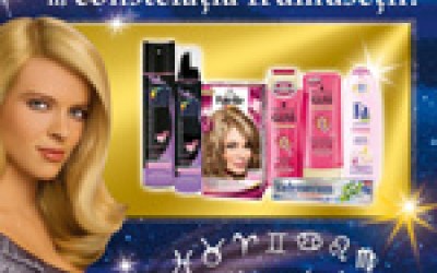 Promotii/Campanii/Lansari