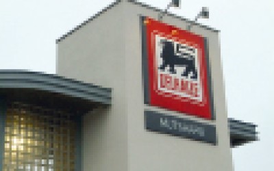 Cifra de afaceri a Delhaize pentru Romania si Indonezia