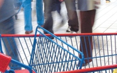 Evolutia crizei in 2009 anticipata de romani 