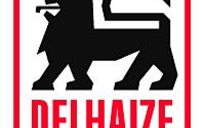 Delhaize a finalizat achizitia Prodas