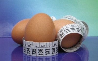 Compromisuri vs siguranta alimentara pentru categoria oualor