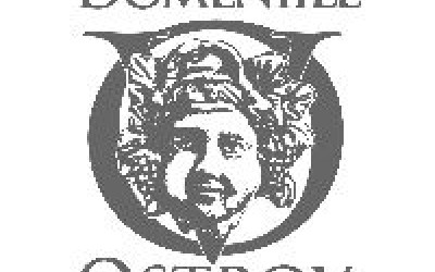 Investitiile in podgoriile 
