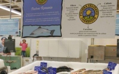 Carrefour Romania lanseaza Filiera Calitatii Carrefour pentru pastrav proaspat   