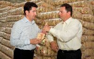 The Practice obtine primul Leu la Cannes pentru industria romaneasca de PR