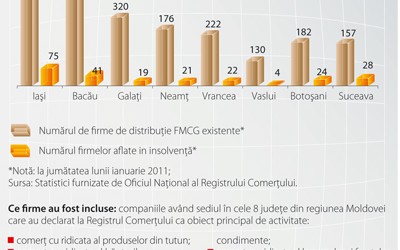 Radiografia distributiei in Moldova