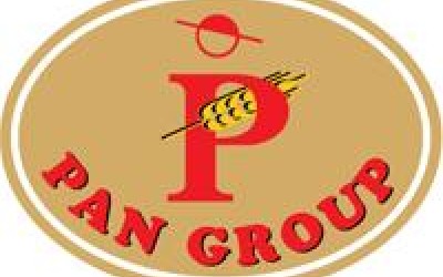 Pan Group: cifra de afaceri cu 15% mai mare in 2010 decat in anul precedent