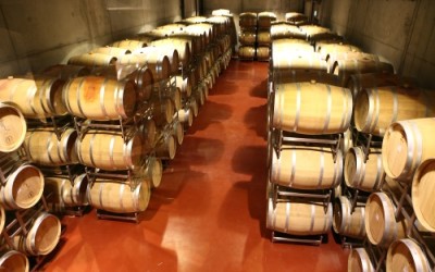 LacertA Winery a investit 6 milioane de euro in crama vinicola din Dealu Mare