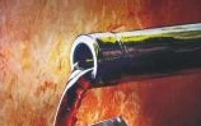 Prima editie a Festivalului PROVINO - intre 3 si 6 noiembrie, la Iasi