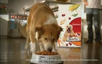 Inovatie in marketing: Nestle a lansat prima reclama TV conceputa pentru caini