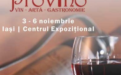 Ce le pregateste Festivalul PROVINO vizitatorilor