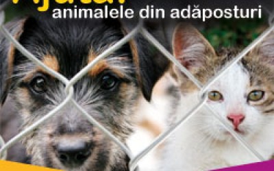 La final de campanie, Mars doneaza 23 tone de hrana pentru animalele din adaposturi