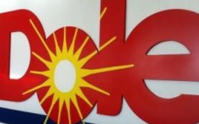 Dole a suspendat activitatea companiei sale din Romania