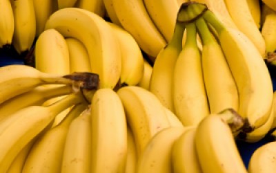 Productia mondiala de banane, amenintata de boala Panama