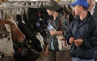 Conferinta Meat & Milk 2014, dedicata fermierilor si producatorilor din industria laptelui si carnii