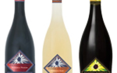 Promotii/Campanii/Lansari