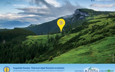 Rio Bucovina lanseaza un program de CSR pentru protejarea mediului 