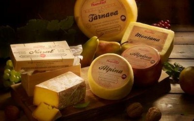 Fabrica de branzeturi de la Taga isi reia activitatea 