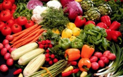 RUSSIA: Government may ease food import ban