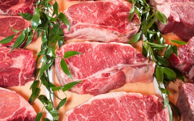 SERBIA: Germany's Toennies to invest 420 million euros in Serbian pig farms