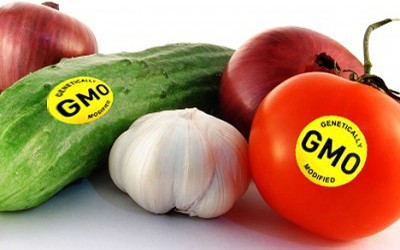 BULGARIA: Ban on growing GM crops confirmed