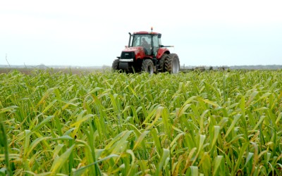 EU: Agriculture Task Force is a good step forward, say retailers