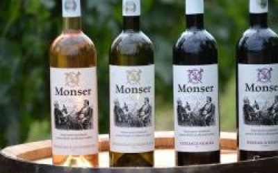 ROMANIA: 20% growth for Senator Wine’s business in 2015