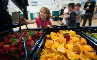 EUROPE: Authorities want to invest in vegetables, fruit and milk in schools