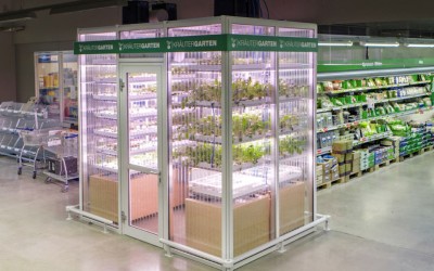 În Germania, Metro își cultivă legumele în... magazin