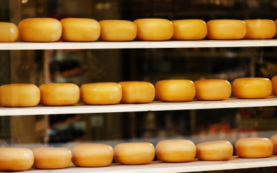 NETHERLANDS: Tetra Pak acquires Dutch cheese mould manufacturer Laude