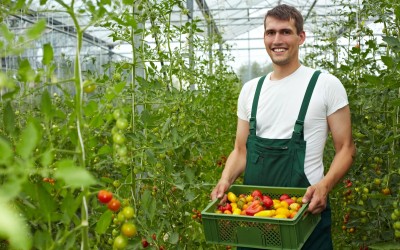 Kaufland susține producătorii autohtoni printr-o serie de târguri