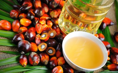 EU aims for 100% certified sustainable palm oil by 2020