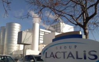 The Competition Council authorized Albalact’s takeover by Lactalis