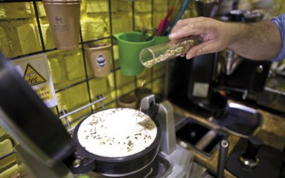 VanFruct sau vremea ideilor năstrușnice în retail