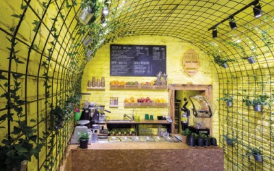 VanFruct sau vremea ideilor năstrușnice în retail