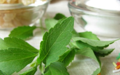 Global stevia market passes 350 million dollars mark