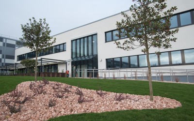 Ce scenarii de dezvoltare are Lidl pentru România