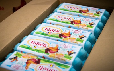 Grupul Toneli estimează o creștere de peste 20% a afacerilor în 2016