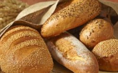 Puratos Romania, over 28 million euros in turnover last year