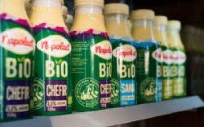 FrieslandCampina scoate la vânzare fabrica din Carei, închisă în 2015