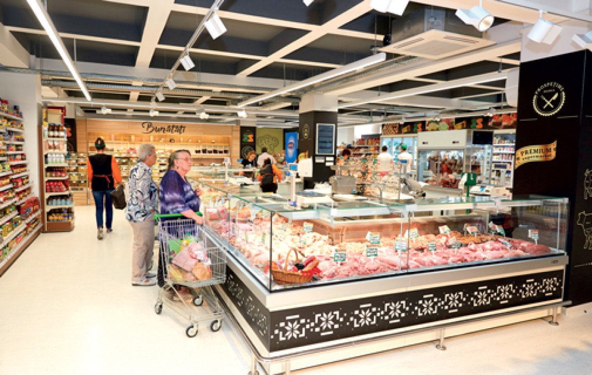 Zanfir premium market