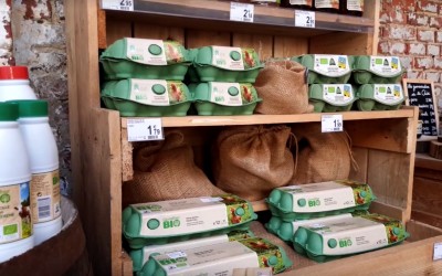 Cum a transpus Carrefour manifestul ”Act for Food” într-un pop-up store? [GALERIE FOTO]