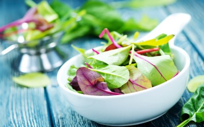 Producătorul salatelor Eisberg investește 2 mil. euro în extinderea producției