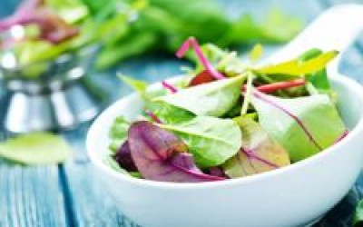 Eisberg salad producer to invest 2 million euros in production expansion