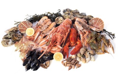 Fructele de mare, o industrie care va atinge 25,7 mld. dolari până în 2024