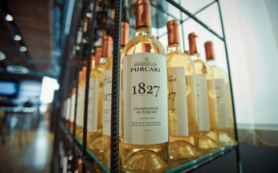 Purcari Wineries, creștere puternică a vânzărilor în T1