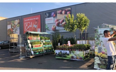 Târg de plante, organizat în parcările magazinelor Kaufland România