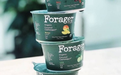 Danone invests in plant-based food company | Progresiv