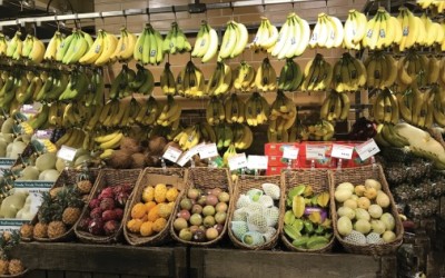 Inițiative strategice pentru maximizarea vânzărilor de produse sănătoase