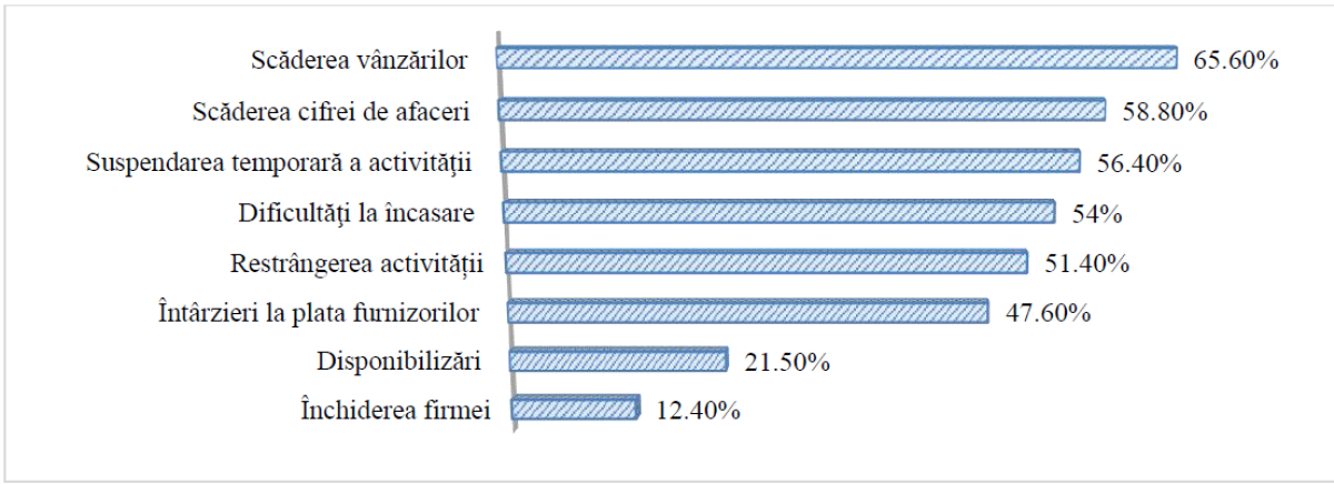 poza studiu IMM