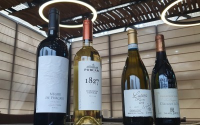  România, cea mai importantă piață pentru Purcari Wineries